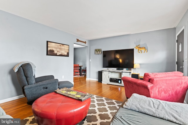 living room with hardwood / wood-style floors