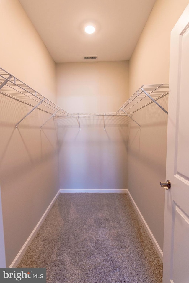 walk in closet featuring carpet floors and visible vents