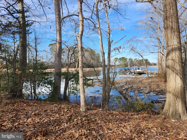 water view