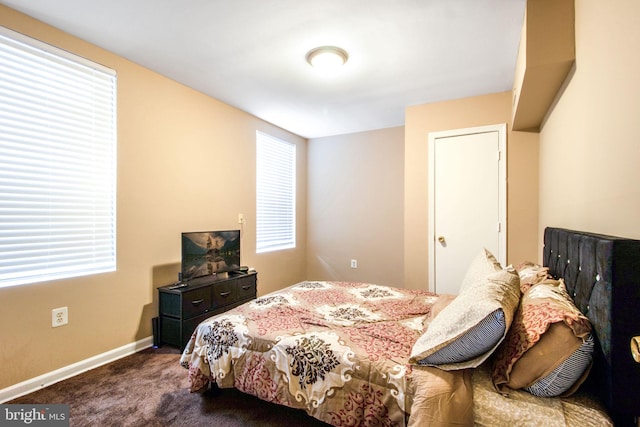 carpeted bedroom with multiple windows