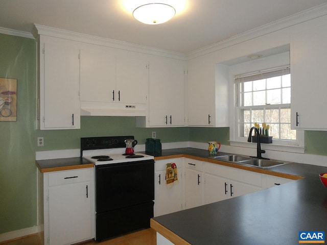 kitchen with electric stove, white cabinetry, ornamental molding, and sink