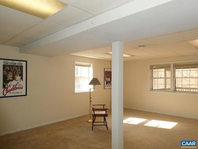 basement with carpet and a drop ceiling