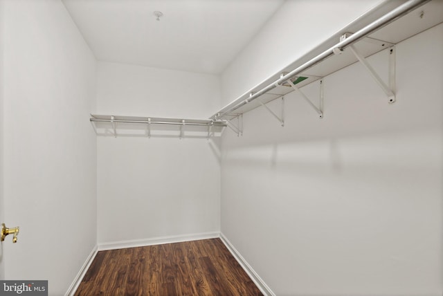 spacious closet featuring dark hardwood / wood-style flooring