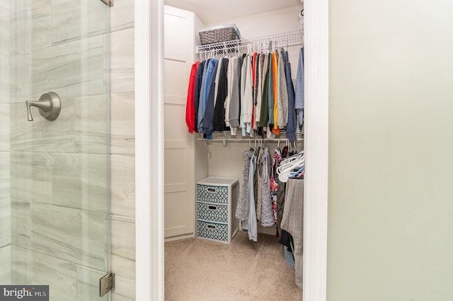 spacious closet with carpet