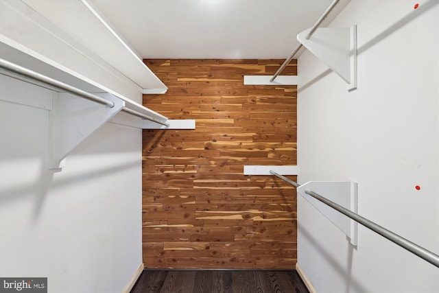 spacious closet with dark wood-type flooring