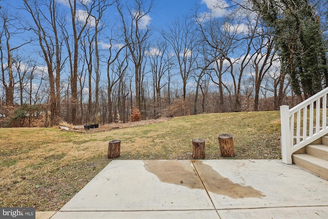 view of yard featuring a patio