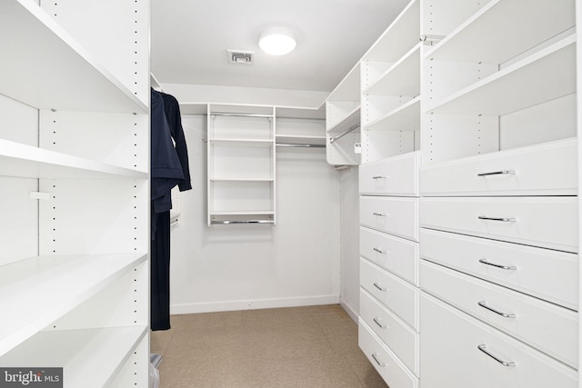 view of spacious closet