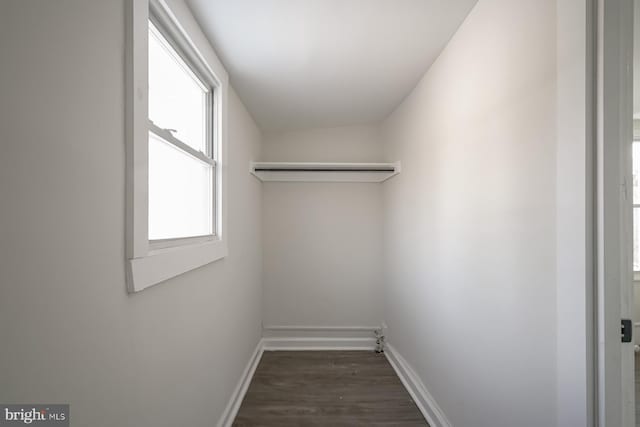 spacious closet with dark hardwood / wood-style flooring