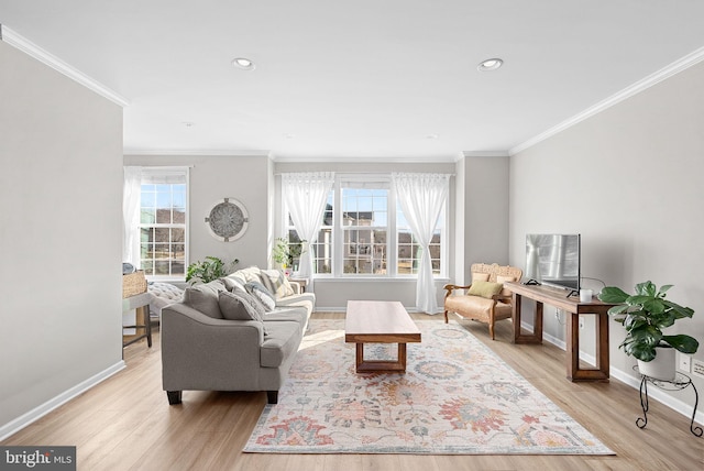 living room with crown molding and light hardwood / wood-style flooring