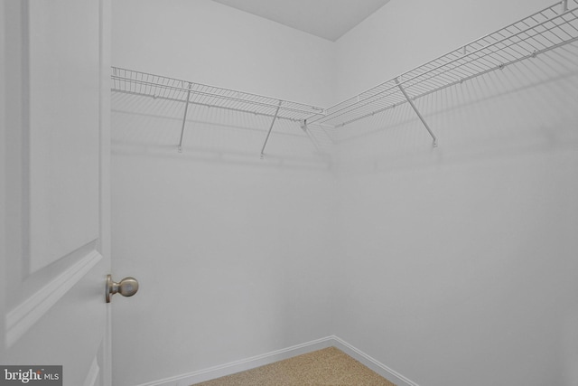 18 Aspen Dr, North East, MD 21901 - walk in closet featuring carpet flooring