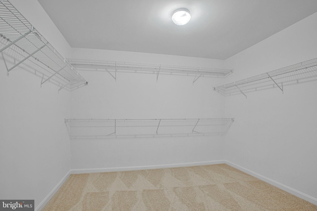 18 Aspen Dr, North East, MD 21901 - spacious closet featuring light colored carpet