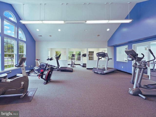 exercise room with a high ceiling