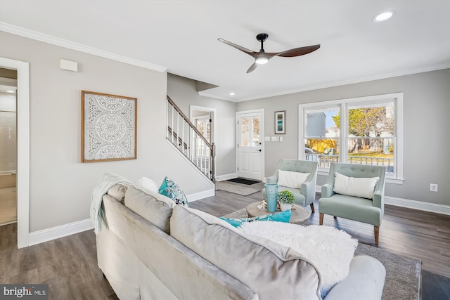 living room with crown molding, dark wood-type flooring, and ceiling fan