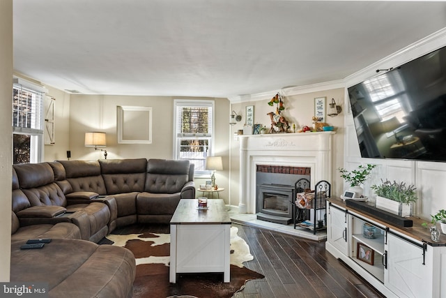 living room featuring crown molding, a fireplace, and dark hardwood / wood-style floors