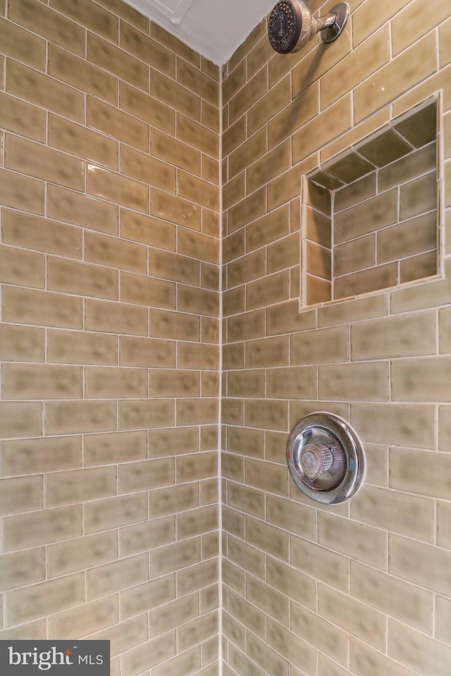 interior details with tiled shower