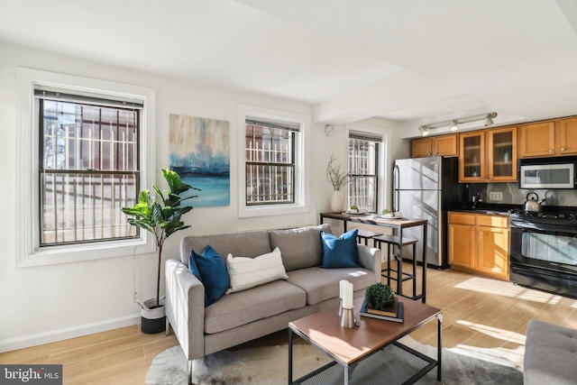 living room featuring sink and light hardwood / wood-style floors