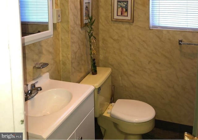 bathroom featuring vanity, toilet, and a wealth of natural light