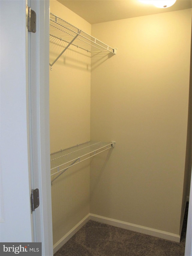 spacious closet featuring dark colored carpet