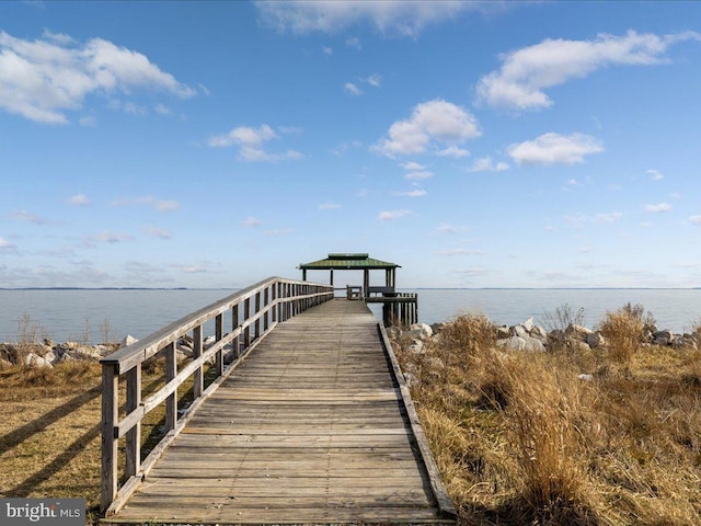 dock area with a water view