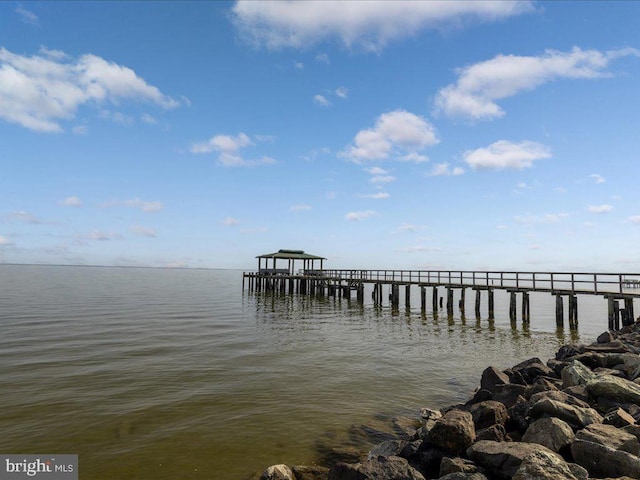 dock area with a water view