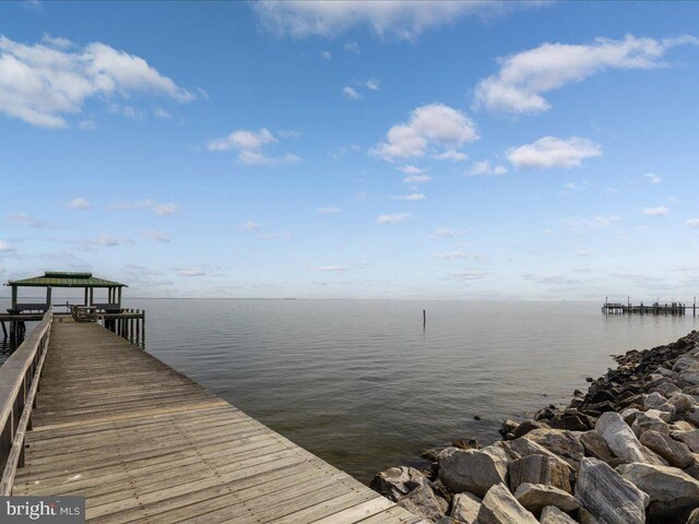 dock area with a water view