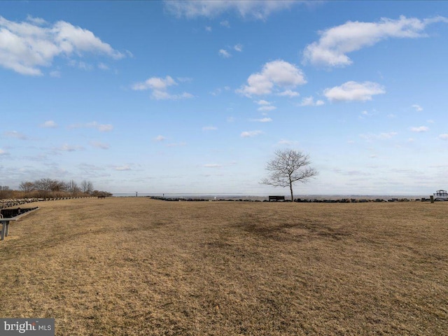 view of yard with a rural view