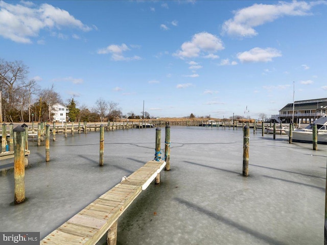 dock area featuring a water view