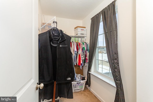 walk in closet featuring carpet flooring