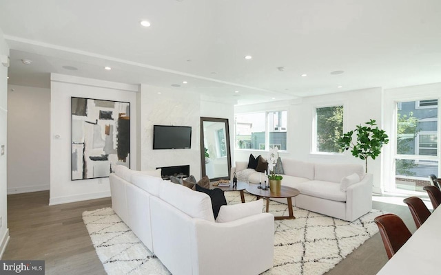 living room with a large fireplace and light hardwood / wood-style flooring