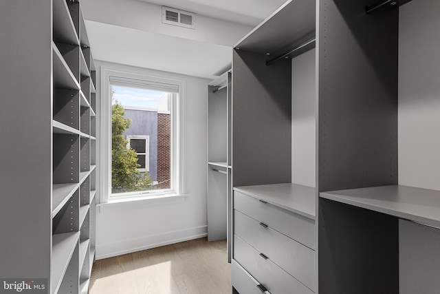 spacious closet featuring light wood-type flooring