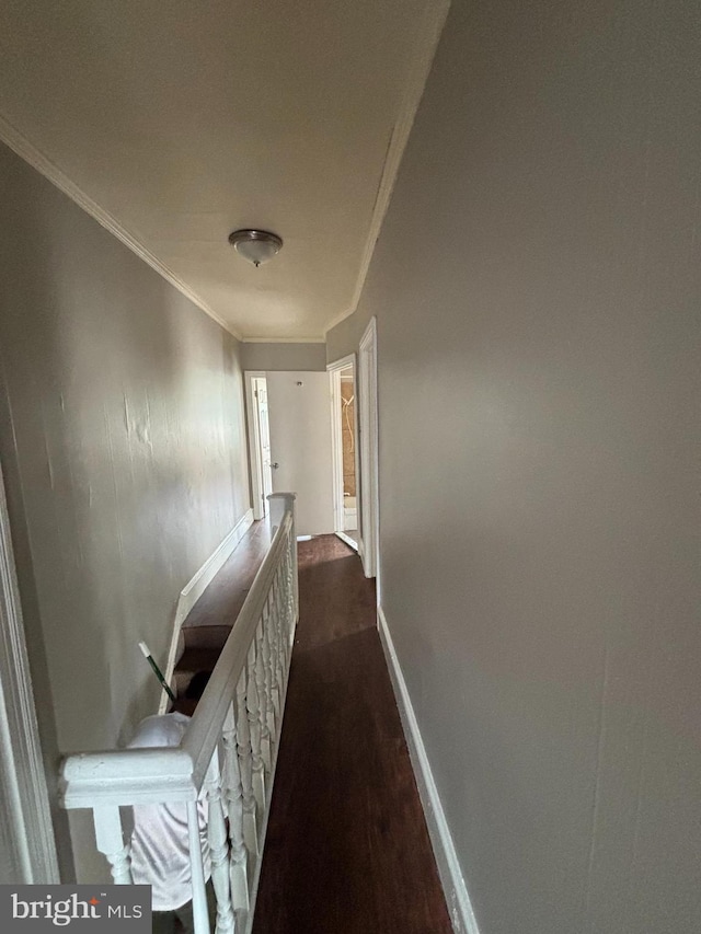 1904 E Orleans St, Philadelphia, PA 19134 - corridor with crown molding, dark wood finished floors, and baseboards