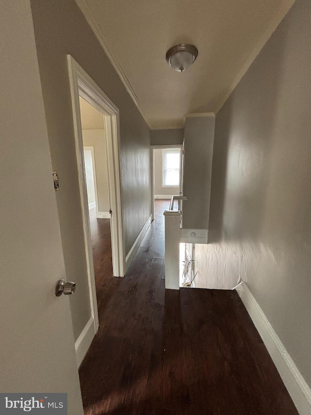 1904 E Orleans St, Philadelphia, PA 19134 - hall with crown molding, baseboards, and wood finished floors