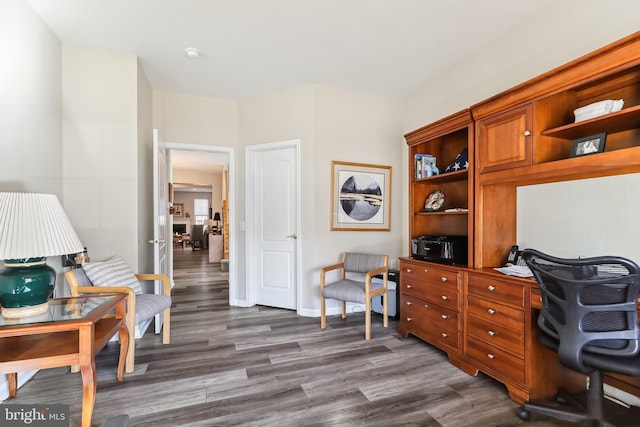 office featuring dark wood-type flooring