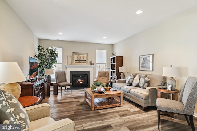 living room with wood-type flooring