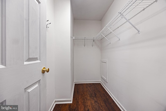 walk in closet with wood finished floors