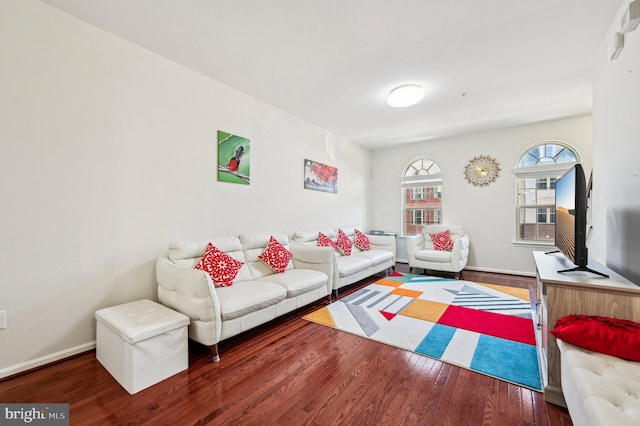 living room featuring dark wood-type flooring