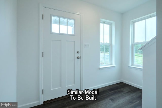 entryway featuring dark wood-type flooring and plenty of natural light