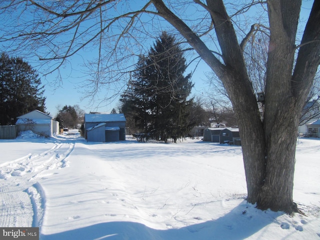 yard covered in snow with a shed