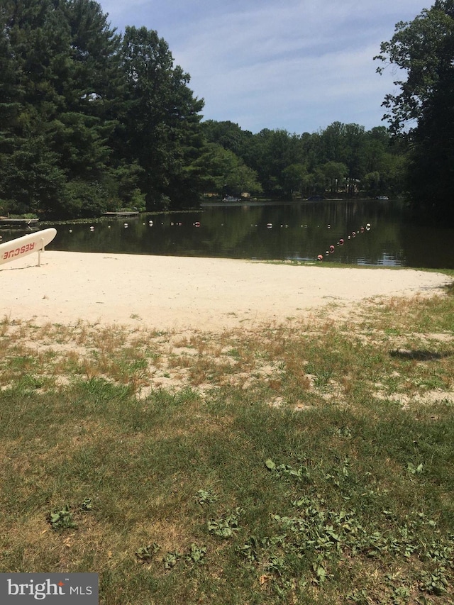 property view of water with a wooded view