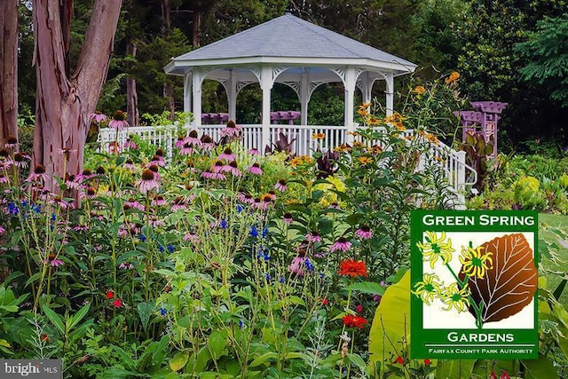 view of yard featuring a gazebo