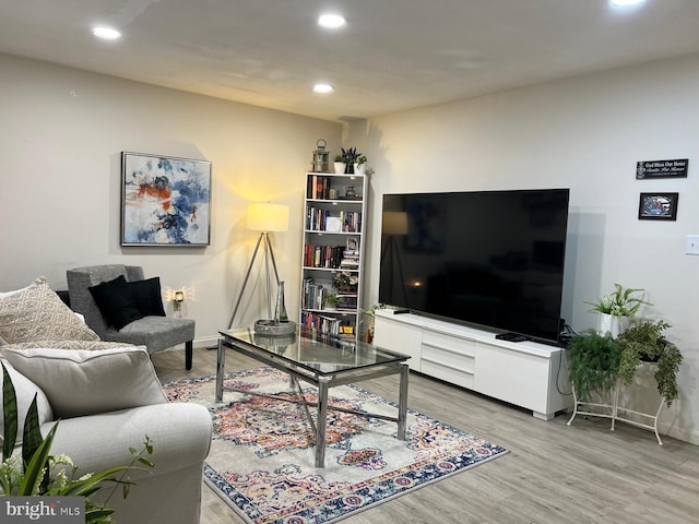 living room featuring hardwood / wood-style floors