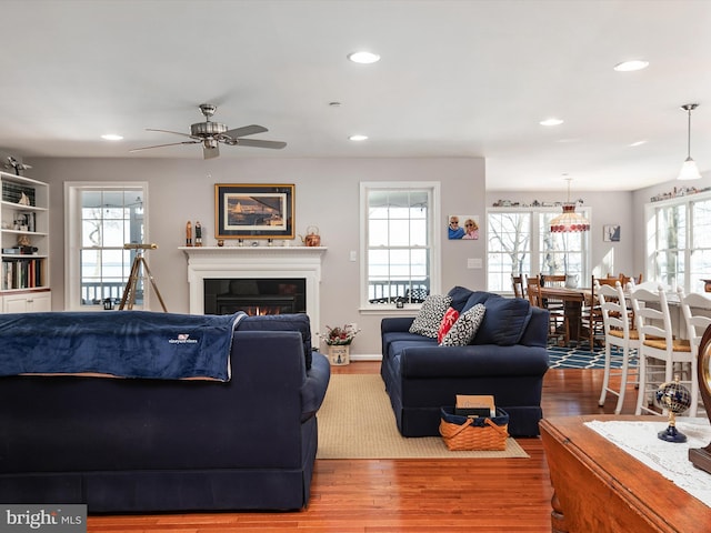 living room featuring ceiling fan and wood-type flooring