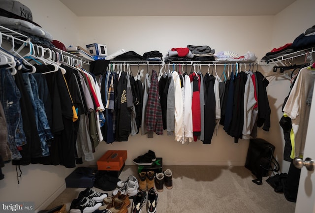 spacious closet featuring carpet floors