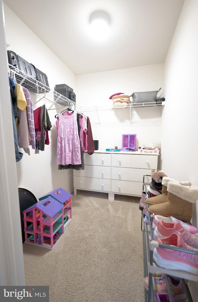 walk in closet with carpet