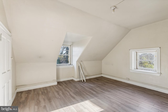 bonus room featuring lofted ceiling, hardwood / wood-style floors, and a wealth of natural light