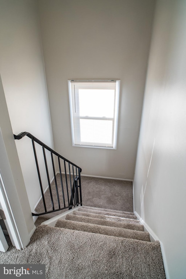 staircase featuring carpet