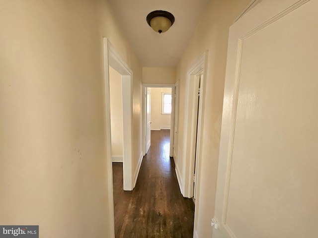 hallway featuring dark wood-type flooring