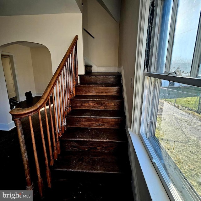 stairway with a wealth of natural light