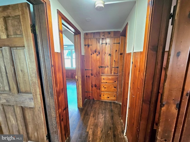 hallway featuring dark wood-type flooring and wood walls