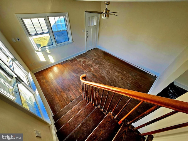 staircase with hardwood / wood-style flooring